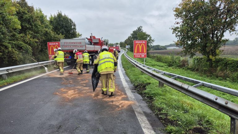 1f1d5a92-8005-42f7-a0ef-73a536026c95