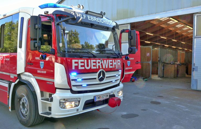 20251004_Pferd benötigt am Welttierschutztag die Hilfe der Feue