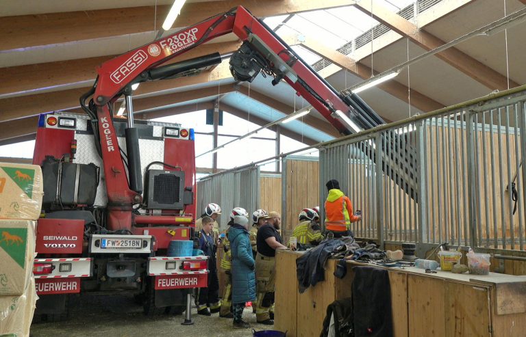 20251004_Pferd benötigt am Welttierschutztag die Hilfe der Feue