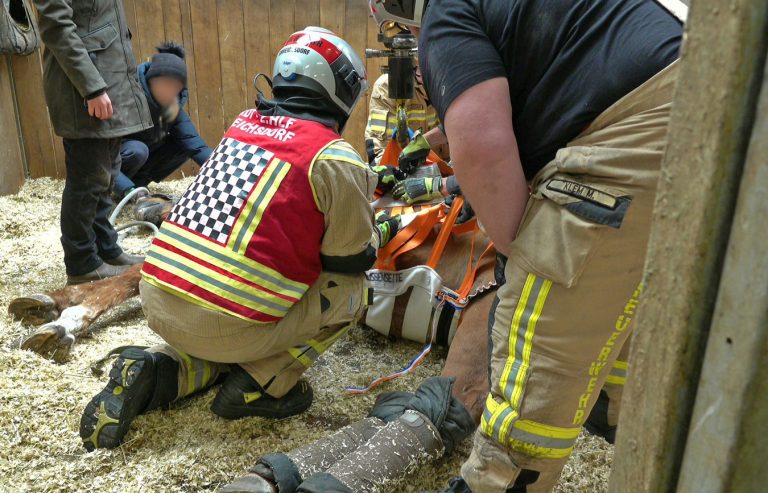 20251004_Pferd benötigt am Welttierschutztag die Hilfe der Feue
