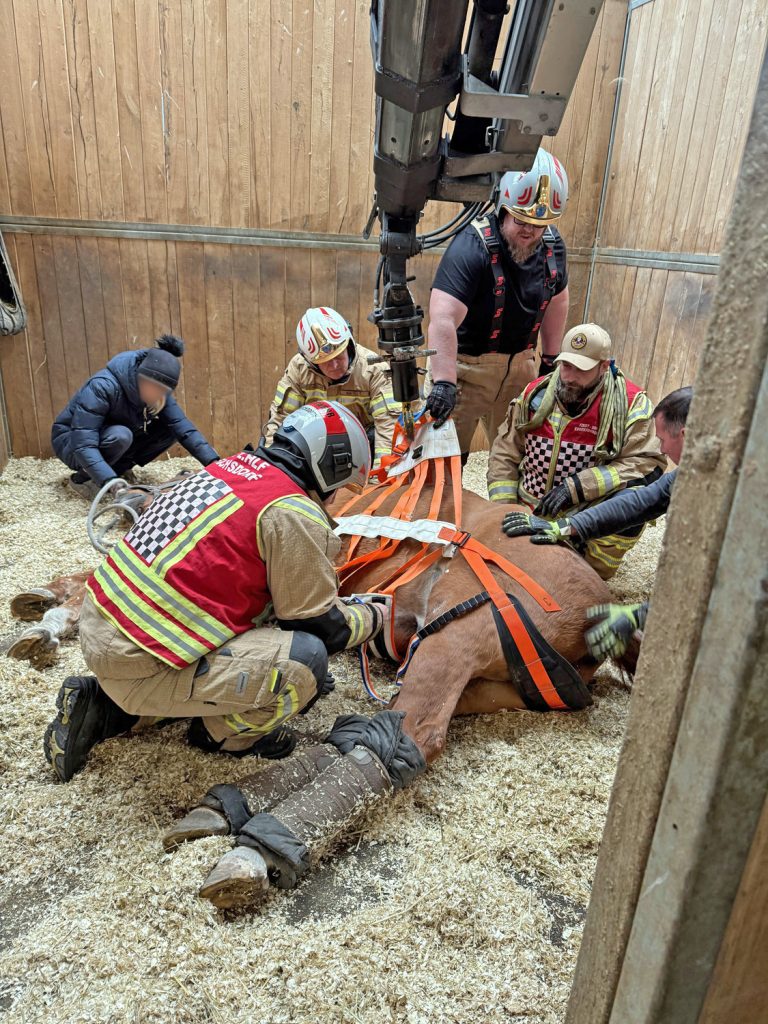 20251004_Pferd benötigt am Welttierschutztag die Hilfe der Feue