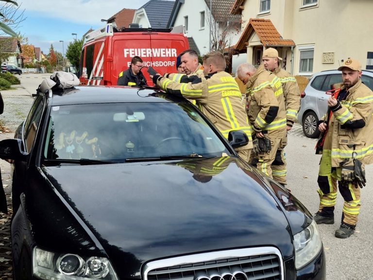 5395b595-0178-49f8-bdb6-81473a0fde81