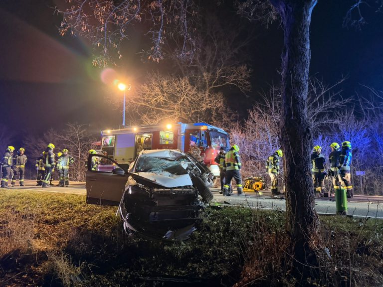 590726927_1263911602443691_4211424085479617160_n