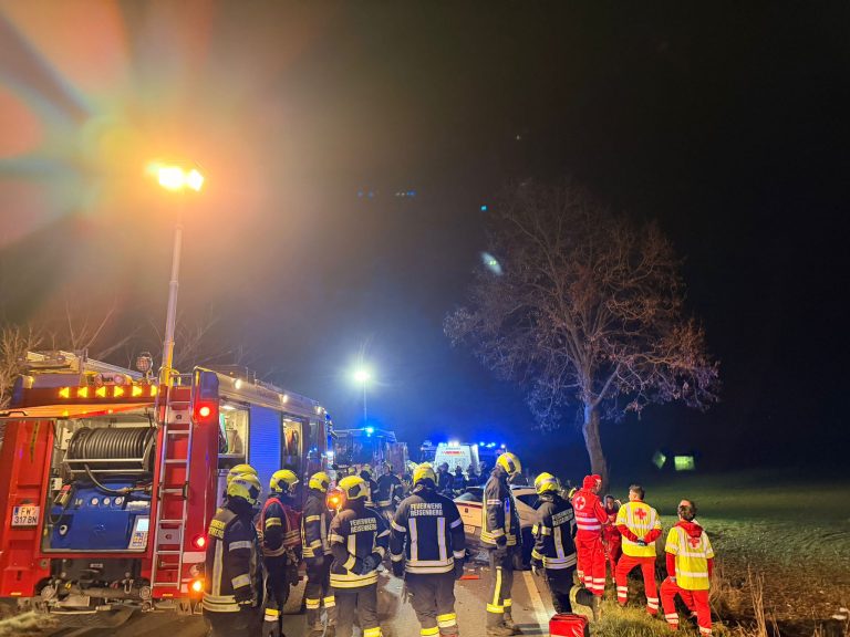 591462203_1263911585777026_8803258056013627550_n