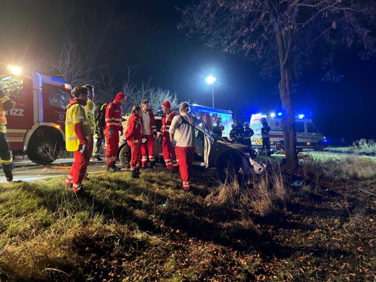 84fe1424-4f0d-4079-b968-fe7b852d2198