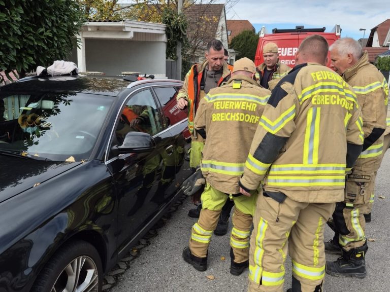 b3422aeb-c4fb-4f76-8250-c7a2623ba69b