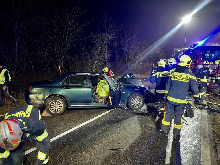 2f8d2b54-09f9-44e9-bd5b-80a33f780b5a