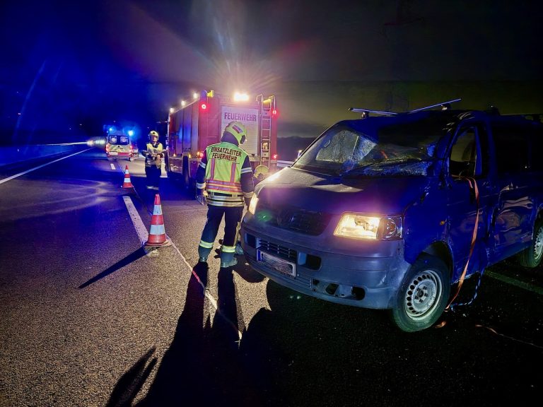 359e496f-2e88-4120-8532-57f6d8005358