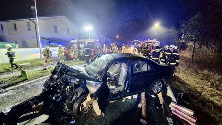 92d155ea-bccb-43d7-a815-3ea40cd85da7