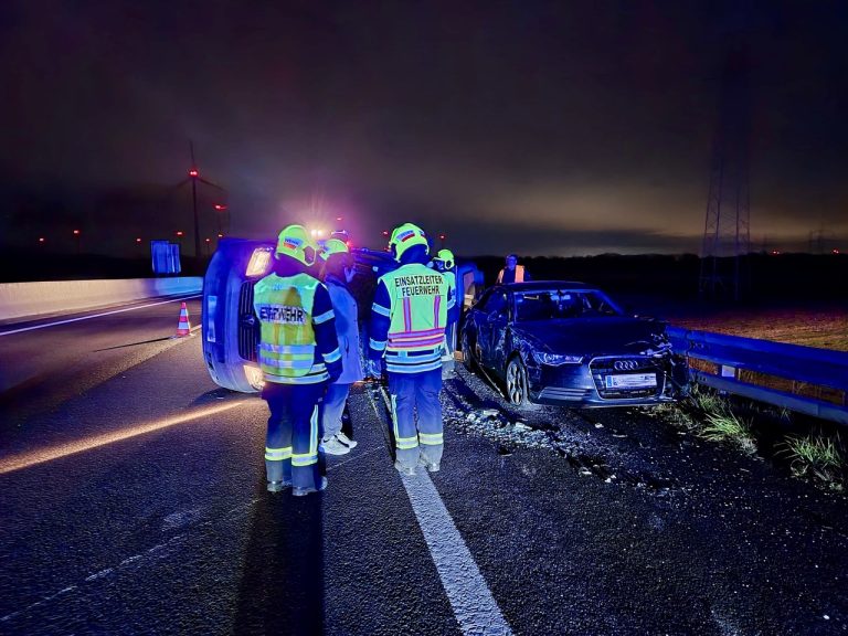 fb1391e3-1644-4365-b29c-8f005f15618f