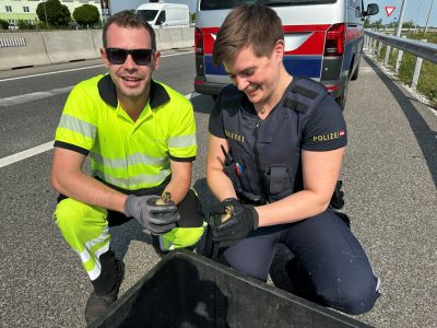 01.06.2023 - API Schwechat-Foto2