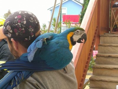 03f585b9-b858-4233-8ee3-7bb473e4fe30