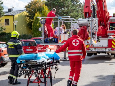 0FEE7B68-E47C-42C1-8FF4-7978A4836789