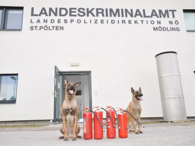 27.02.2018