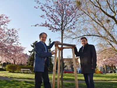 20170328 Baumpflanzung durch GR Dopplinger foto_sap (12)