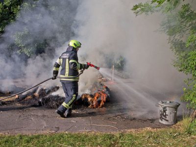 20170619 Brand von Strohballen im Schlosspark Tribuswinkel  Foto