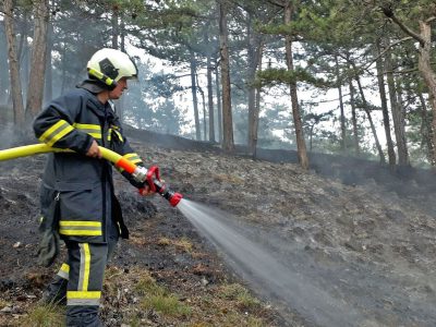 20170624 Waldbrand Grillenberg_05