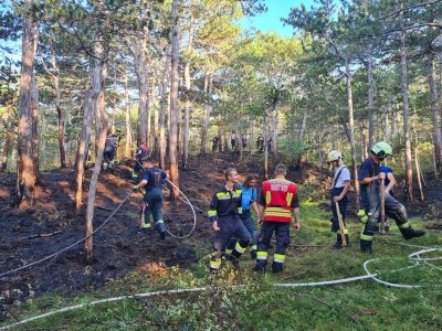 20210914 Waldbrand Gainfarn Gemeinde Bad Vöslau Bereich Mariaze