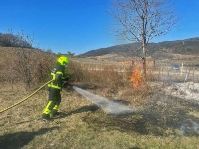 20220324 Flurbrand Weinbergstrasse Pfaffstätten-Gumpoldskirchen