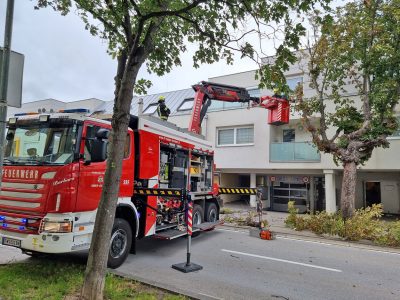 20230807 Sturmschaden erfordert Sperre der Badnerbahnstrecke in