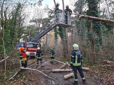 20240124 Sturmschaden in Bad Vöslau Bezirk BADEN