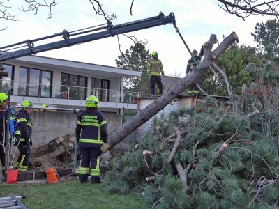 20240205 Sturmschaden in Kottingbrunn Bezirk BADEN NÖ