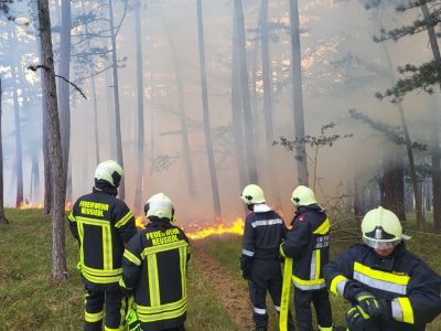 20240723_Waldbrand in Grillenberg - Gemeinde Hernstein NÖ Bezir