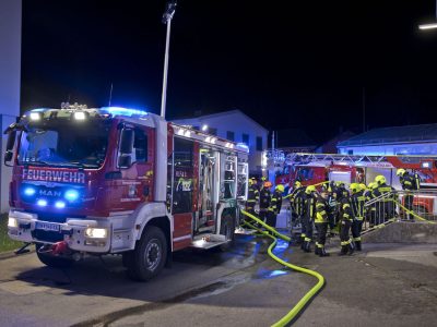20241123_Brand einer Maschine in einem Gewerbebetrieb in Schöna