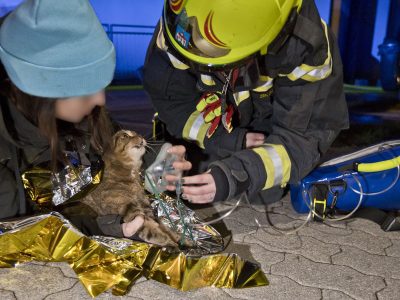 20241204_Wohnungsbrand in Traiskirchen Ortsteil Möllersdorf NÖ