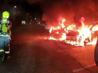 20250214_Fahrzeugbrand in der Stadt Baden Ortsteil Leesdorf NÖ