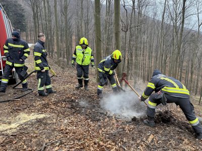 20250223_Kleinbrand im Waldgebiet Schöpfl bei Klausen-Leopoldsd