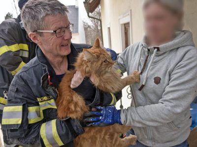 20250310_Feuerwehr befreit Stubentiger „Odin“ aus unterirdis