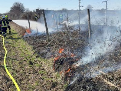 20260308_Vegetationsbrand neben der Südbahnstrecke bei Traiskir