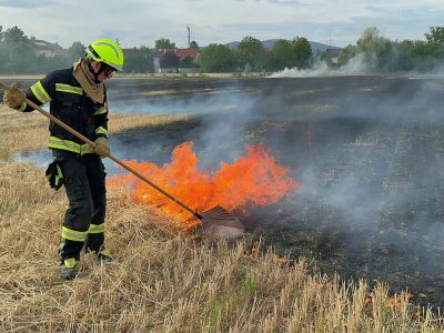 20260707_B2 Vegetationsbrand-Feld in Kottingbrunn Nö Bezirk BAD