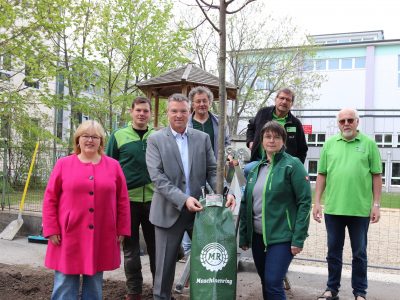 22_29.04.2022 - Stadtbaumkonzept 900 Bäume für Ebreichsdorf schreitet weiter voran BILD II