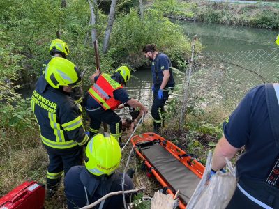 2D3E326B-365C-46DB-AEC9-AA5FEE720881