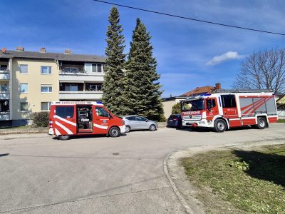 397f685a-61d7-4832-85e7-d803101f70e8