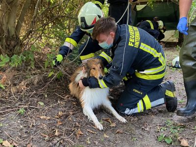 4AB35E69-26B5-493E-980B-E37D1B08EEBD