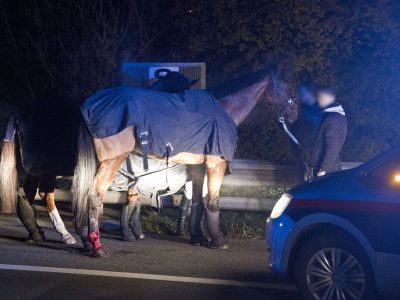 4F7261D4-0179-4092-9F75-F6F8761F9E3A