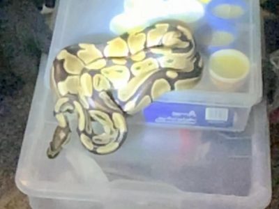 7aa7227db4-5ecb-4831-8c08-53b7a123dac7