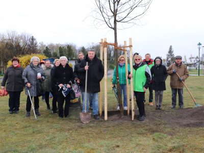 Bild_Gedenkbaum_Bruno_Matejka zum Versenden
