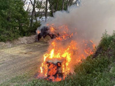 E257045F-E301-4073-B8B7-A89248989F3F