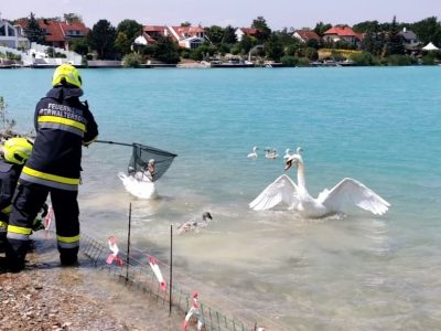 IMG_20210630_104437_064