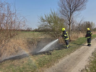 PA Feuerwehr Leithaprodersdorf - Flurbrand auf einem Güterweg_2