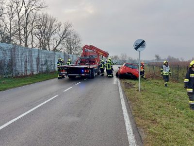 PHOTO-2024-11-26-10-28-35-1