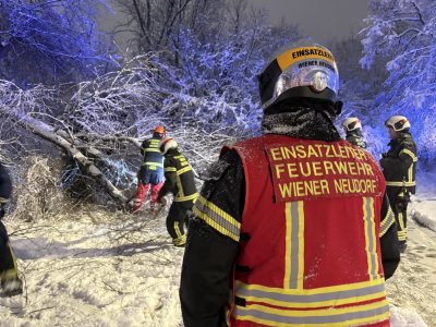 Schnee_WienerNeudorf02