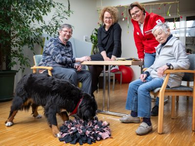 Tiergestützte Therapie PBZ Pottendorf Copyright NLK Khittl