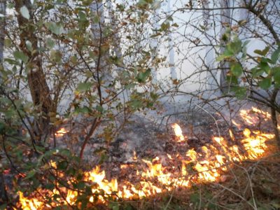 whatsapp-image-2016-09-29-at-07-43-33