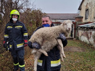 WhatsApp Image 2021-11-26 at 08.56.40